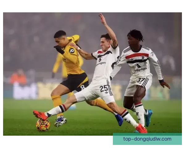 慕尼黑1860业余队大胜德森霍芬 以5比0完美演绎实力差距