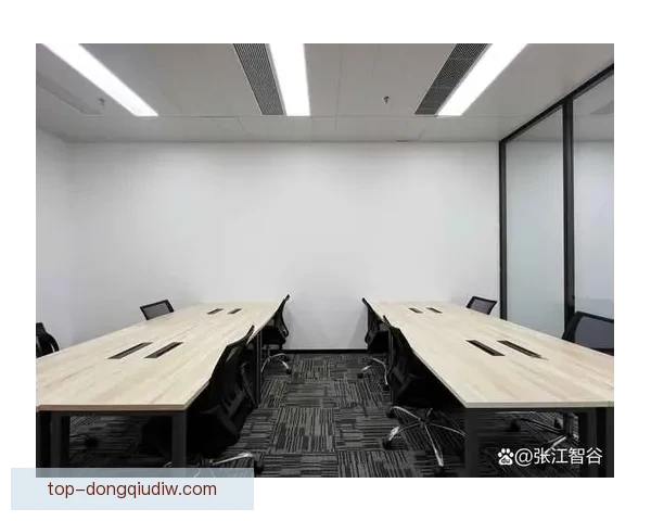 曼弗列敦与格拉维纳交汇区域城市发展与文化融合研究