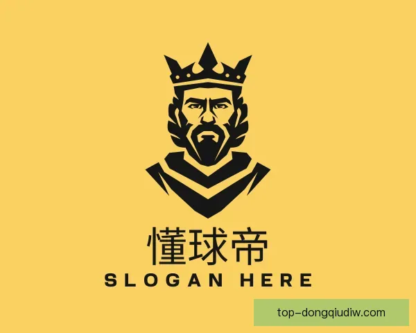 介绍懂球帝网页版